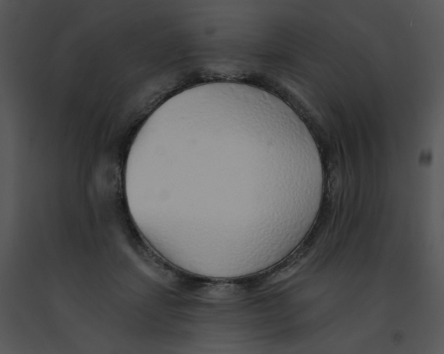 X0000091370459200708311529