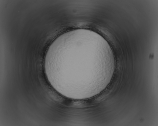 X0000091370461200708311529