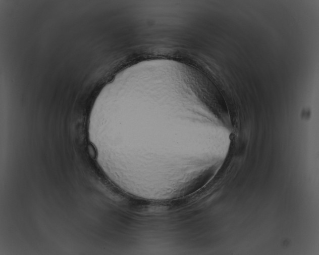 X0000091370462200708311529