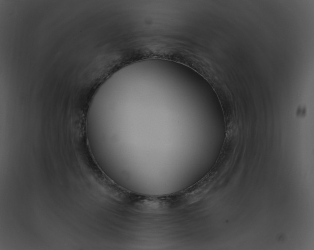 X0000091370464200708311529