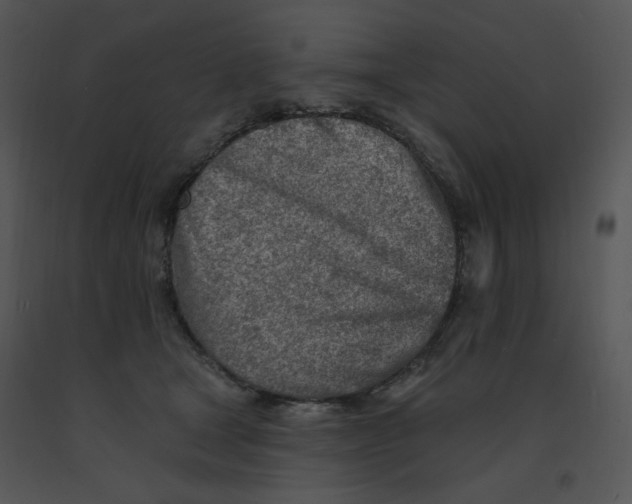 X0000091370465200708311529