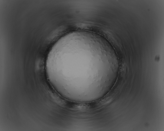 X0000091370466200708311529