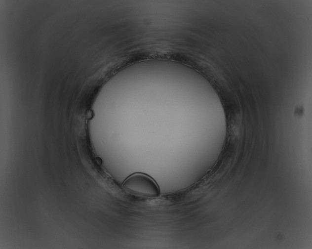 X0000091370468200708311529