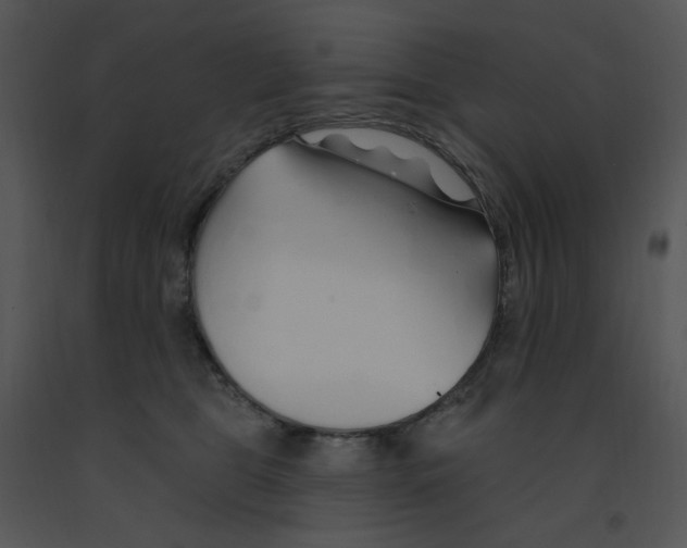 X0000091370469200708311529