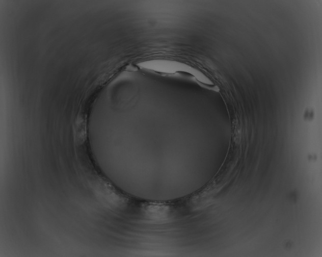 X0000091370471200708311529