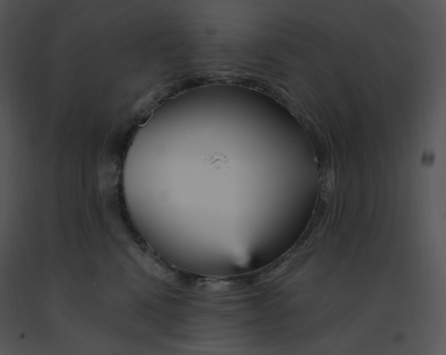 X0000091370472200708311529