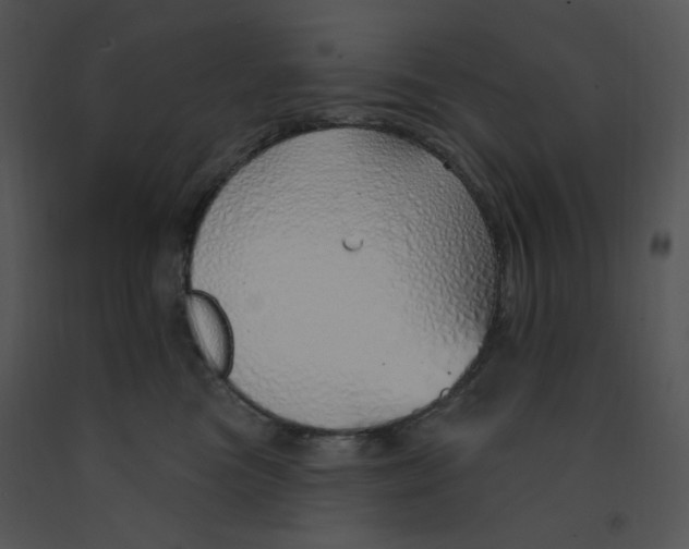 X0000091370473200708311529