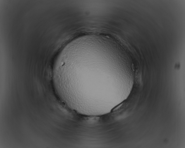 X0000091370474200708311529