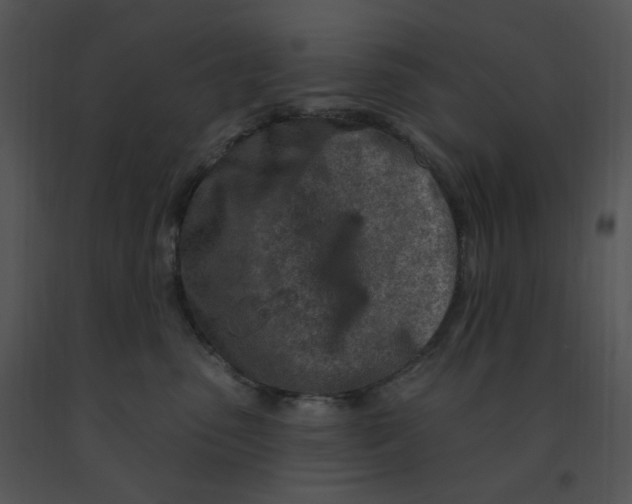 X0000091370475200708311529