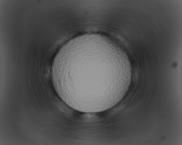 X0000091370477200708311529