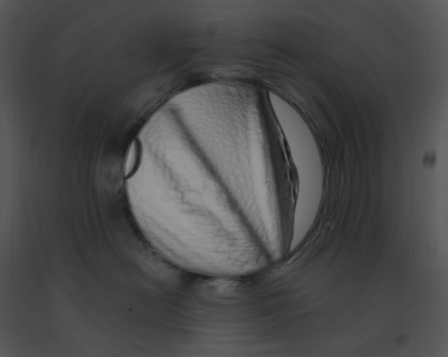 X0000091370478200708311529