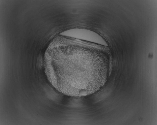 X0000091370479200708311529