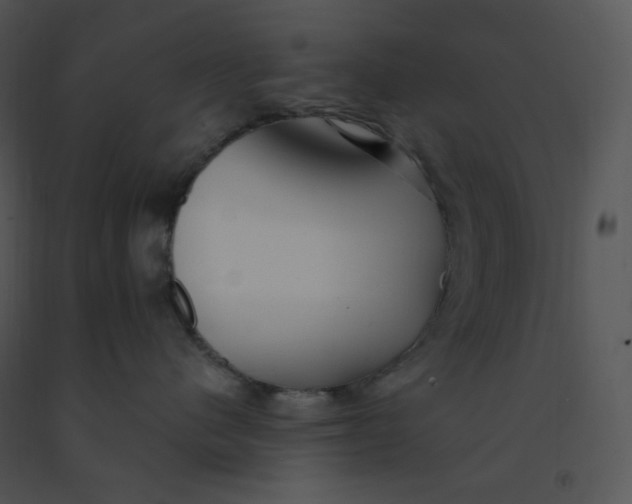 X0000091370480200708311529