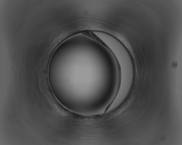 X0000091370481200708311528