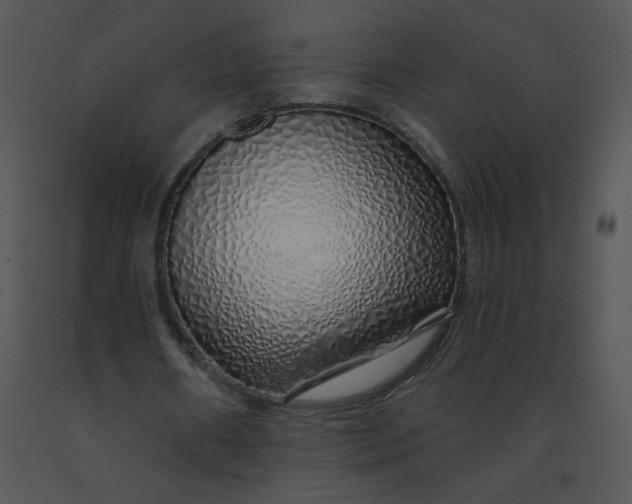 X0000091370482200708311528