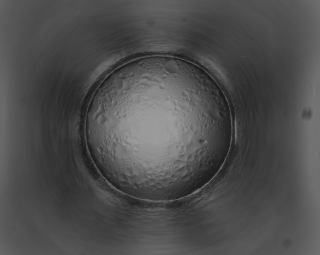 X0000091370483200708311528