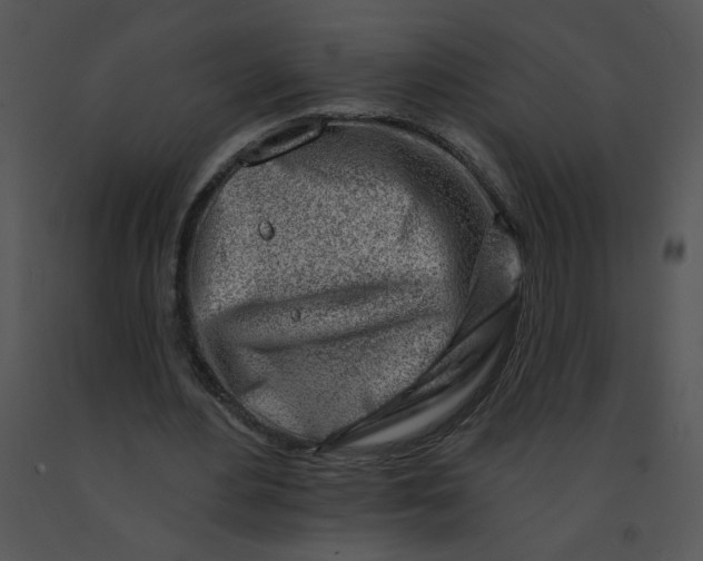 X0000091370484200708311528