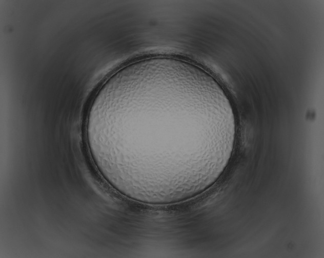 X0000091370486200708311528