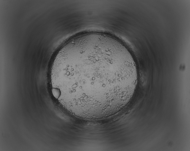 X0000091370487200708311528