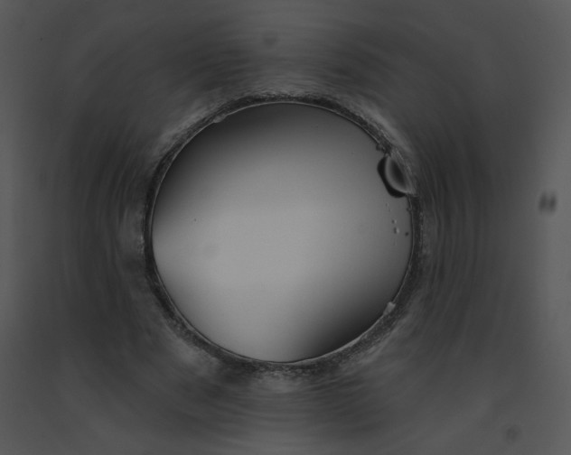 X0000091370489200708311528