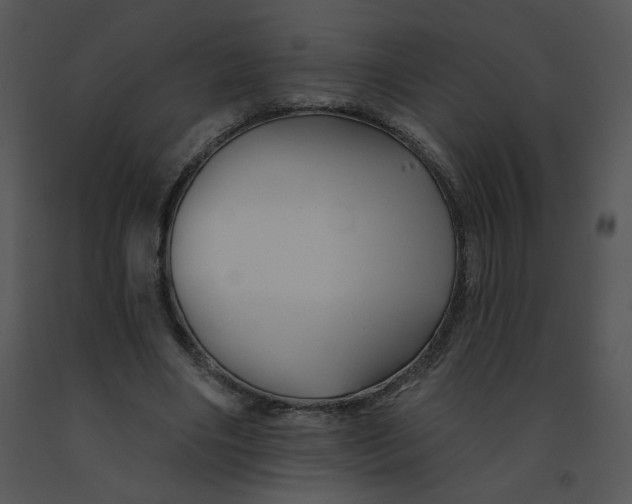 X0000091370490200708311528