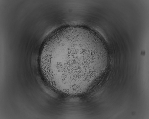 X0000091370491200708311528