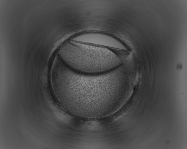 X0000091370492200708311528