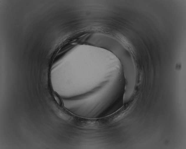 X0000091370493200708311528