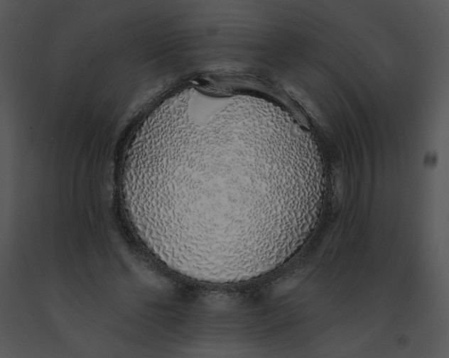 X0000091370494200708311528