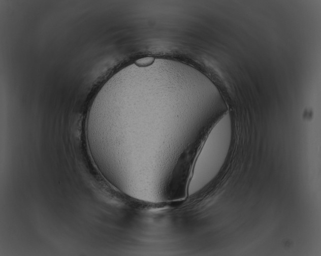 X0000091370495200708311528