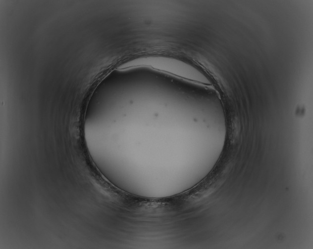 X0000091370497200708311528