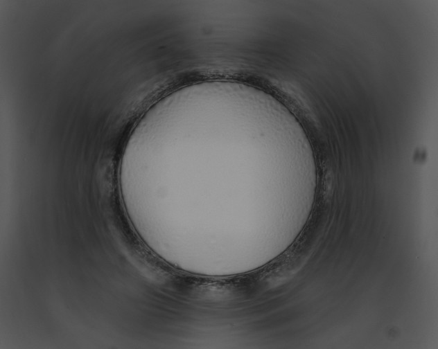 X0000091370498200708311528