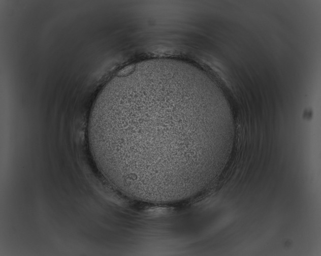 X0000091370499200708311528