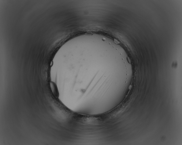 X0000091370501200708311528