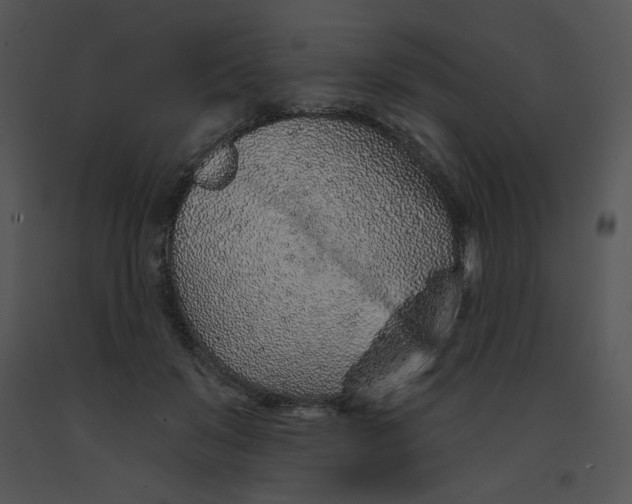 X0000091370503200708311528