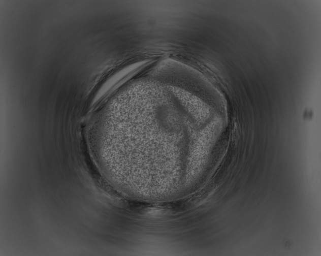 X0000091370504200708311528