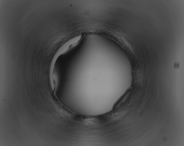 X0000091370505200708311528