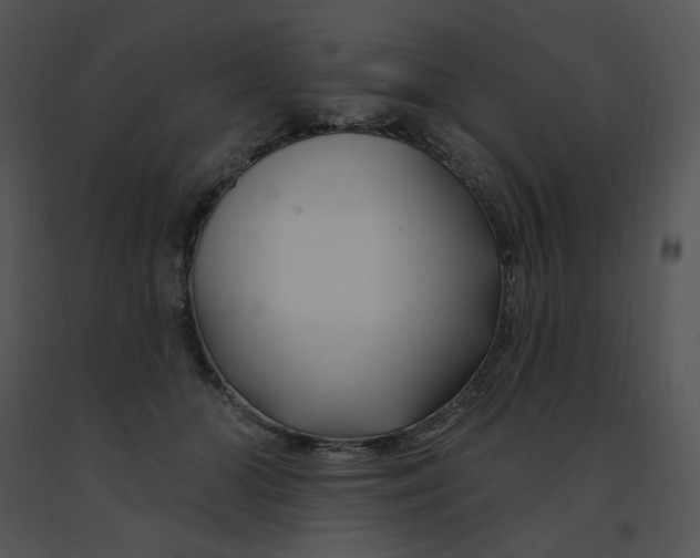 X0000091370510200708311528