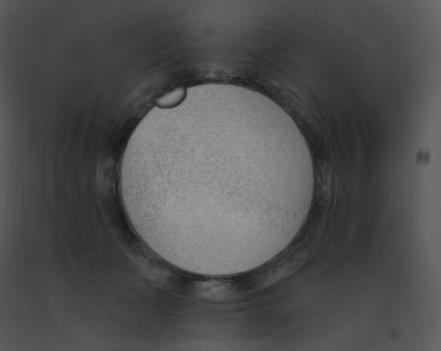 X0000091370511200708311528