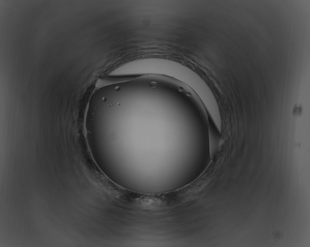 X0000091370512200708311528