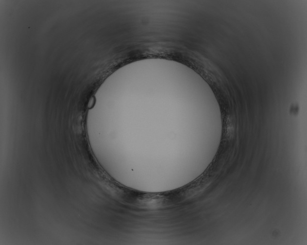 X0000091370514200708311528