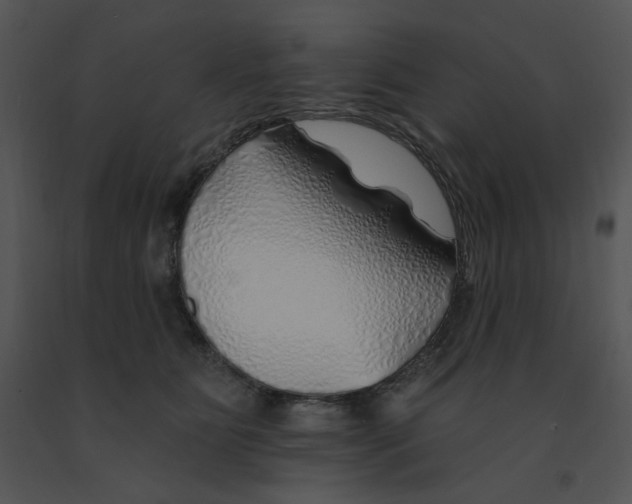 X0000091370515200708311528