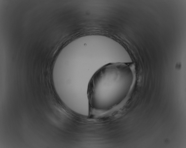 X0000091370516200708311528