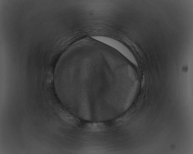 X0000091370517200708311528