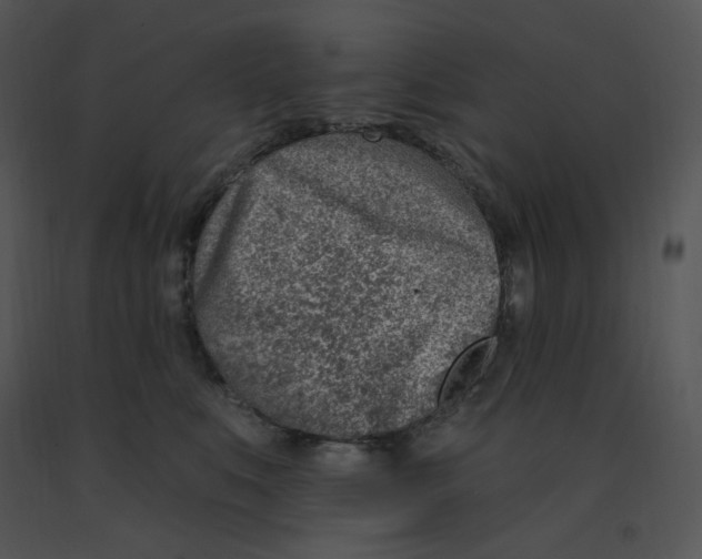 X0000091370519200708311528