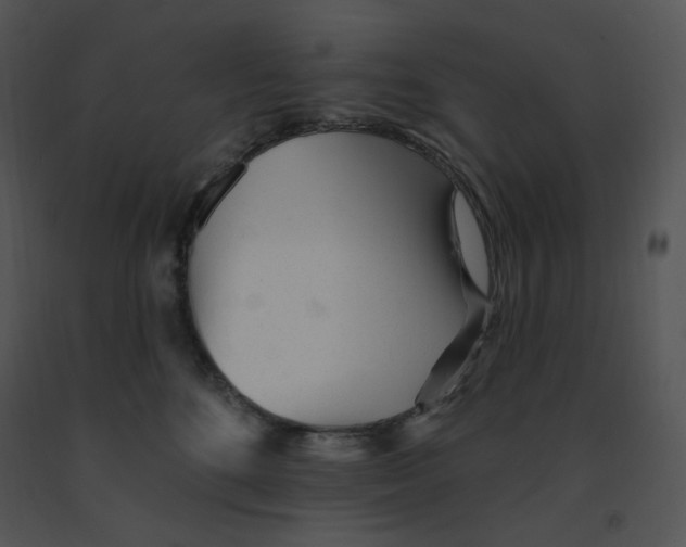 X0000091370520200708311528