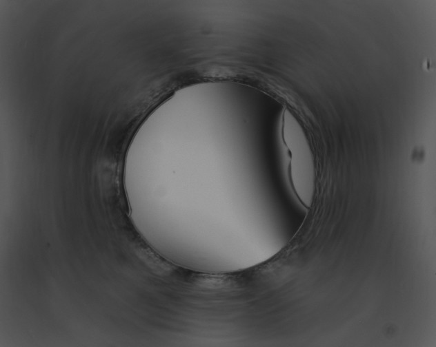 X0000091370521200708311528