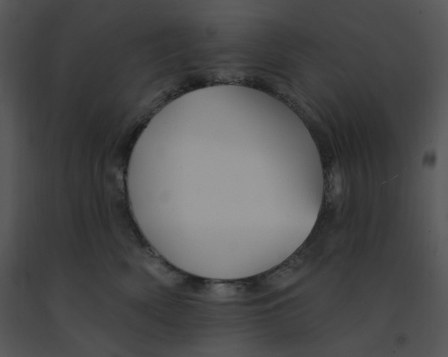 X0000091370522200708311528