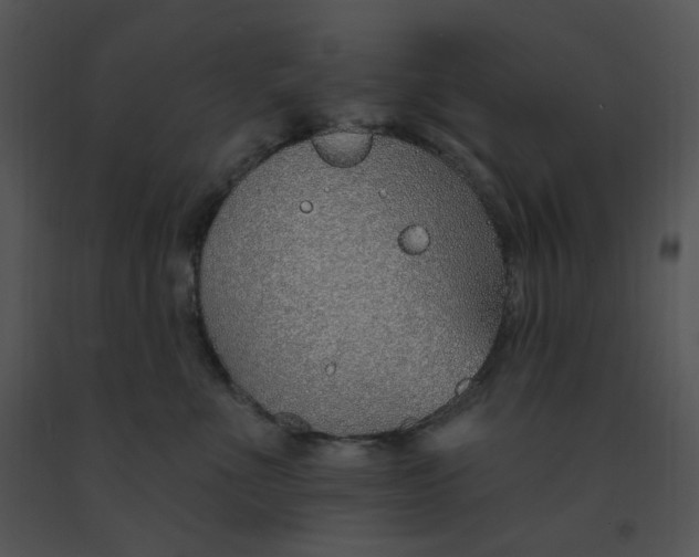 X0000091370523200708311528