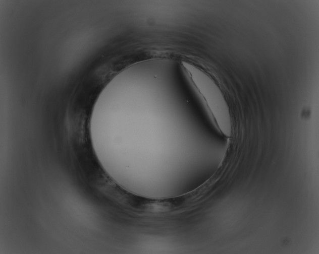 X0000091370525200708311528